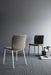 Annie CS1852 Dining Chair-Dining Chairs-Calligaris New York Westchester