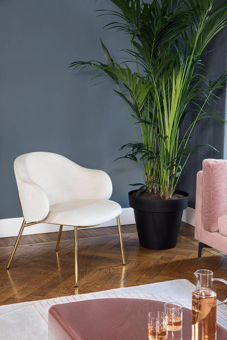 Holly CS3417-M 1300 Lounge Chair-Lounge Chairs-Calligaris New York Westchester