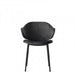 Holly CS2037 Dining Chair-Dining Chairs-Calligaris New York Westchester