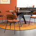 Sophia CS1890 Dining Chair-Dining Chairs-Calligaris New York Westchester