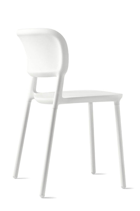 Sneak CS2028 Dining Chair
