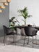 Holly CS2037 Dining Chair-Dining Chairs-Calligaris New York Westchester
